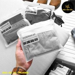 Set 3 quần lót tam giác nam cotton big size H163