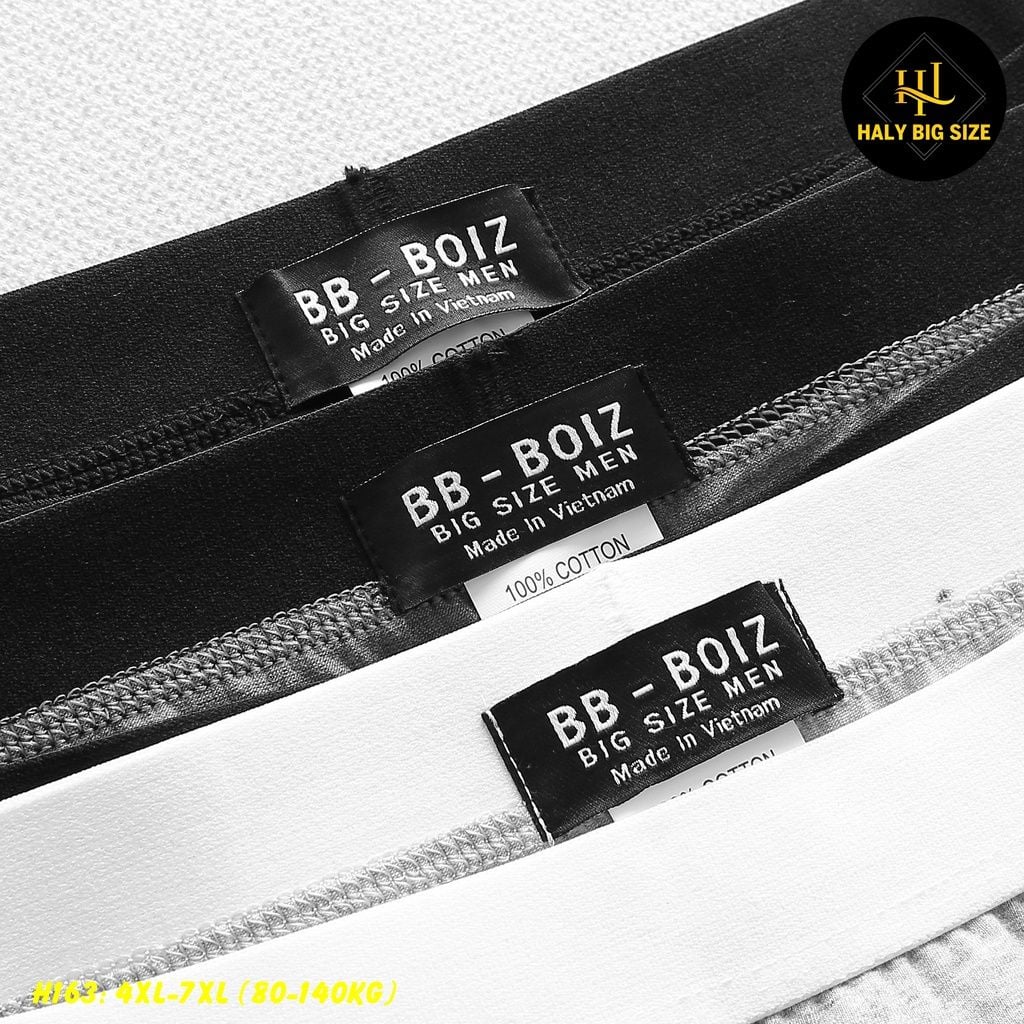 Set 3 quần lót tam giác nam cotton big size H163