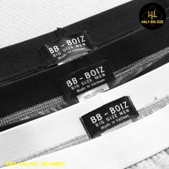 Set 3 quần lót tam giác nam cotton big size H163