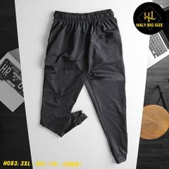 Quần jogger thun nam big size trơn ống túm H083