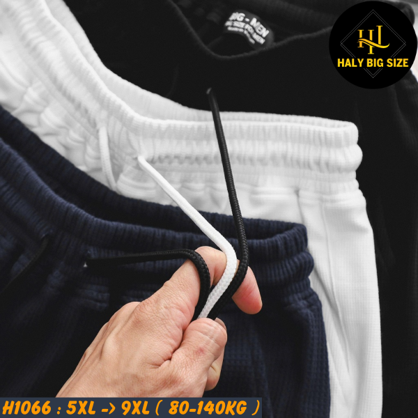 Đồ bộ nam big size polo khóa kéo vải tổ ong H1066