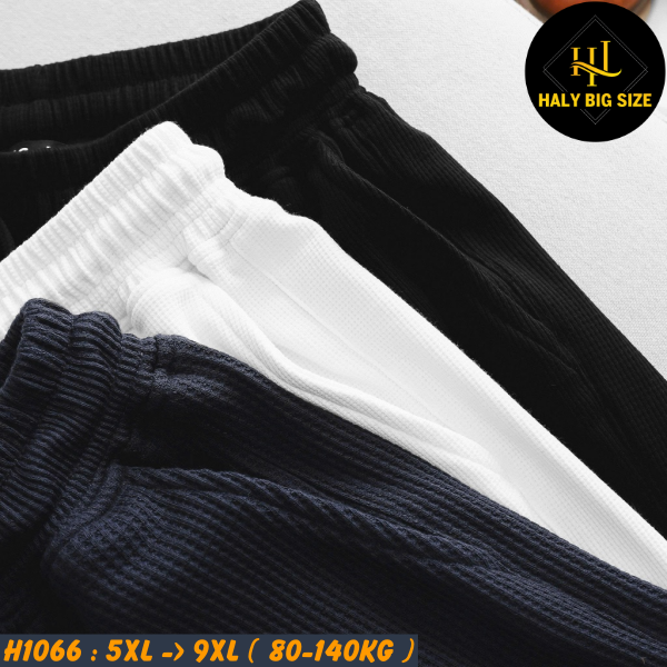 Đồ bộ nam big size polo khóa kéo vải tổ ong H1066