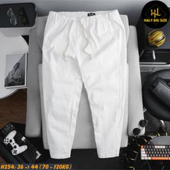 Quần kaki nam big size lưng thun thoải mái H254
