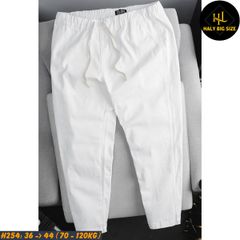 Quần kaki nam big size lưng thun thoải mái H254