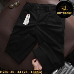 Quần tây nam big size lưng phối thun H260