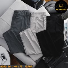 Quần tây nam big size lưng phối thun H260