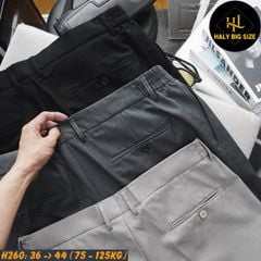 Quần tây nam big size lưng phối thun H260