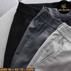 Quần tây nam big size lưng phối thun H260