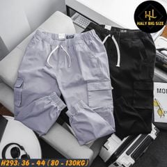 Quần jogger kaki nam big size túi hộp lưng thun H293