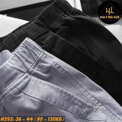 Quần jogger kaki nam big size túi hộp lưng thun H293