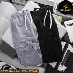 Quần jogger kaki nam big size túi hộp lưng thun H293