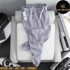 Quần jogger kaki nam big size túi hộp lưng thun H293