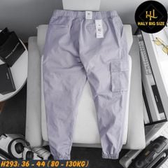 Quần jogger kaki nam big size túi hộp lưng thun H293