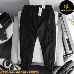 Quần jogger kaki nam big size túi hộp lưng thun H293