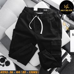 Quần jogger kaki nam big size túi hộp lưng thun H293