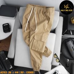 Quần jogger kaki nam big size túi hộp lưng thun H293