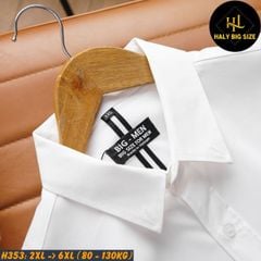 Áo sơ mi nam big size công sở vải kate Mỹ cao cấp H353