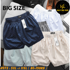 Quần đùi nam họa tiết mặc nhà big size H973