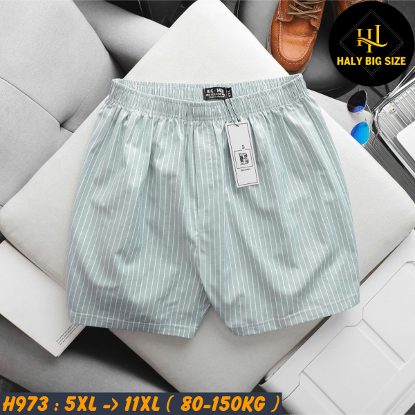 Quần đùi nam họa tiết mặc nhà big size H973
