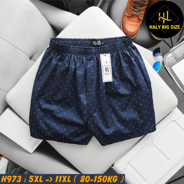 Quần đùi nam họa tiết mặc nhà big size H973