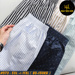 Quần đùi nam họa tiết mặc nhà big size H973