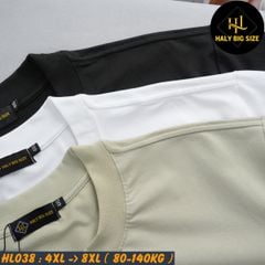 Áo thun nam big size trơn nhiều màu phù hợp chiều cao dưới 1m75 HL038