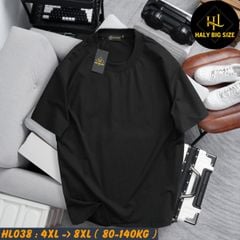 Áo thun nam big size trơn nhiều màu phù hợp chiều cao dưới 1m75 HL038