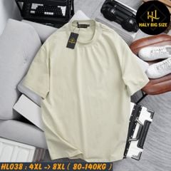 Áo thun nam big size trơn nhiều màu phù hợp chiều cao dưới 1m75 HL038