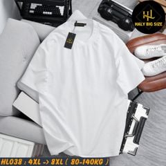 Áo thun nam big size trơn nhiều màu phù hợp chiều cao dưới 1m75 HL038