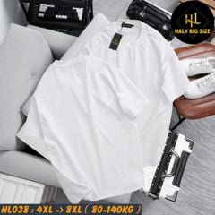 Áo thun nam big size trơn nhiều màu phù hợp chiều cao dưới 1m75 HL038
