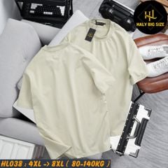 Áo thun nam big size trơn nhiều màu phù hợp chiều cao dưới 1m75 HL038