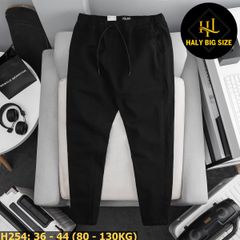 Quần kaki nam big size lưng thun thoải mái H254