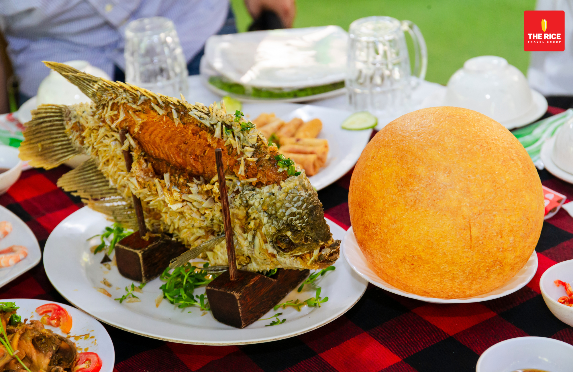 Tour Khám Phá Miền Tây Premium - 1 Ngày 