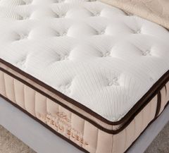 Nệm lò xo túi Intelli Sleep thương hiệu Mỹ Lady Americana