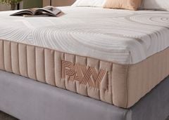 Nệm foam Paxy thương hiệu Mỹ Lady Americana