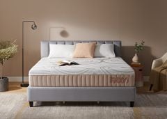 Nệm foam Paxy thương hiệu Mỹ Lady Americana