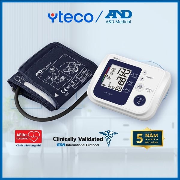 Máy Đo Huyết Áp Điện Tử Bắp Tay (AND, UA-767JP , ASIA /  UA-767 JP, EC, Nhật Bản) - YTECO