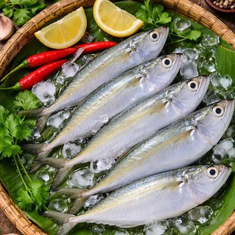 Cá Bạc má tươi 7-9 con/kg làm sạch