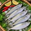 Cá Bạc má tươi 7-9 con/kg làm sạch