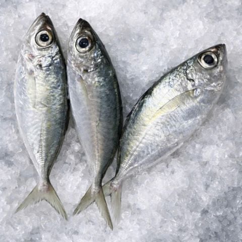 Cá Tráo tươi 8-10 con/kg làm sạch
