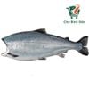 Cá Hồi COHO cấp đông 3.5-4.5kg/con