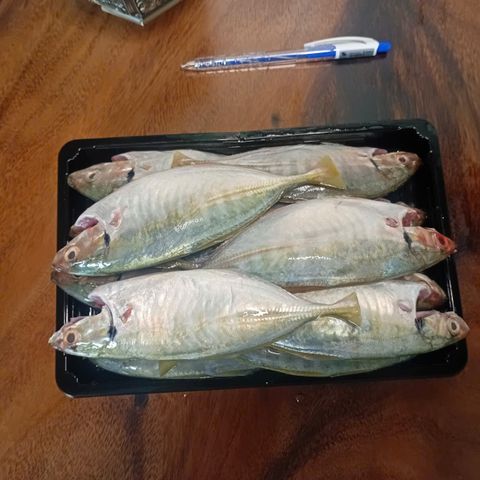 Cá Ngân tươi 7-9 con/kg làm sạch