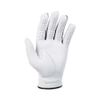 Găng tay golf PLAYER FLEX màu ngọc trai | Titleist