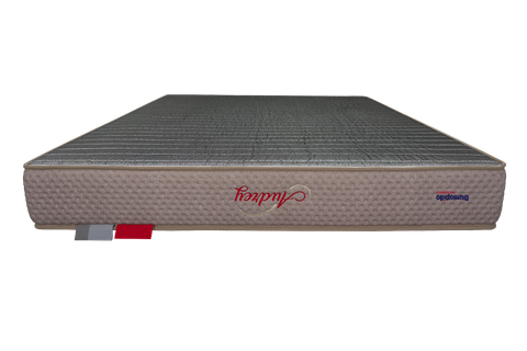 Nệm lò xo cao cấp Audrey Premium 25 cm
