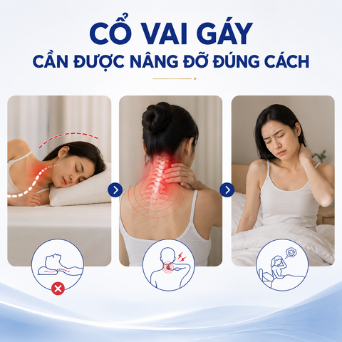 Gối cao su cao cấp Dunlopillo Nova Countour