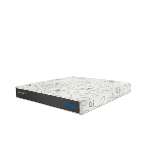 Nệm Cao Su Cao Cấp Latex World Eco 20CM
