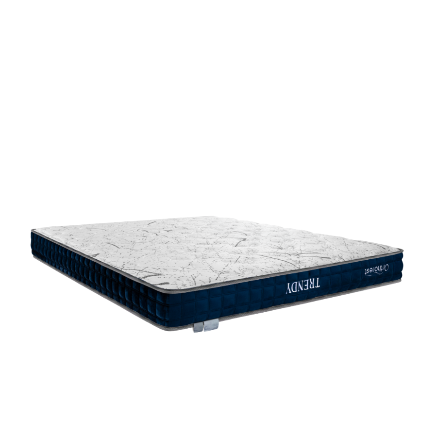 Nệm Foam Orthorest Trendy 20CM