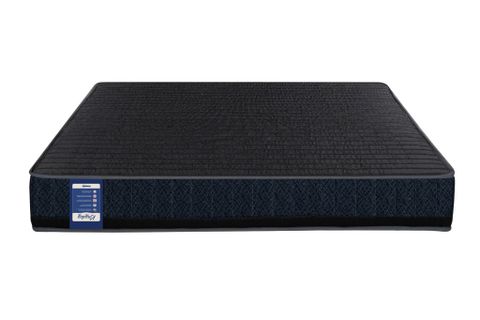 Nệm lò xo Kingsley 24 cm