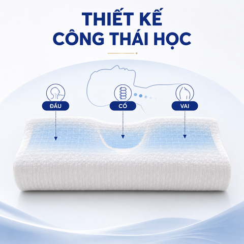 Gối cao su cao cấp Dunlopillo Nova Countour