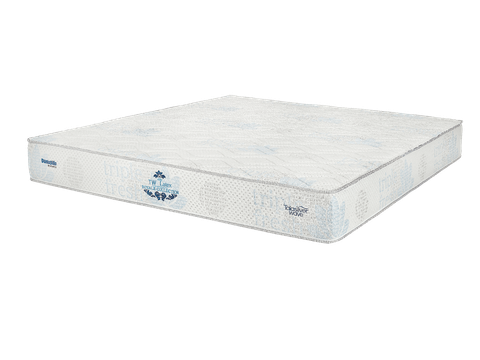 Nệm cao su cao cấp TWG Royale Latex 23 cm